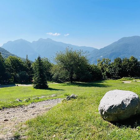 Agriturismo La Selvaggia 만델로델라리오 외부 사진