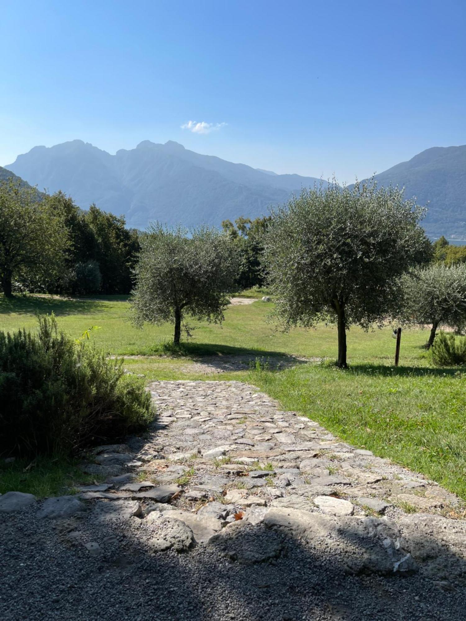 Agriturismo La Selvaggia 만델로델라리오 외부 사진