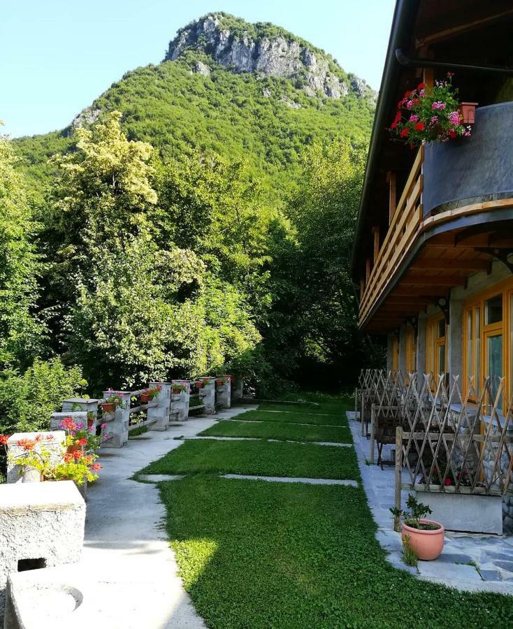 Agriturismo La Selvaggia 만델로델라리오 외부 사진